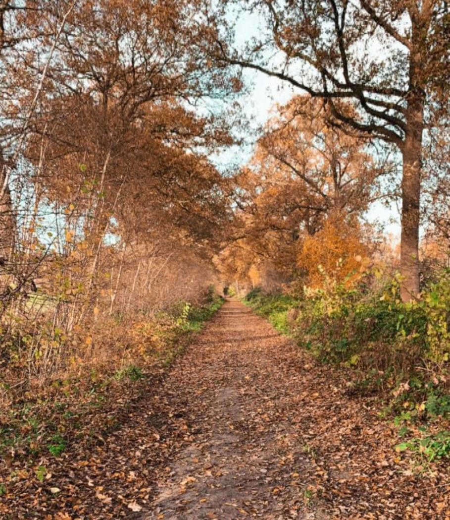 B&B Erve Moeskert Geesteren  Exteriér fotografie
