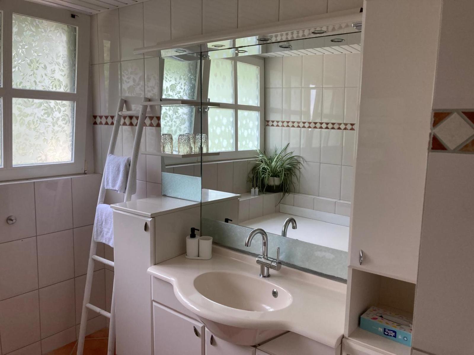 B&B Erve Moeskert Geesteren  Exteriér fotografie
