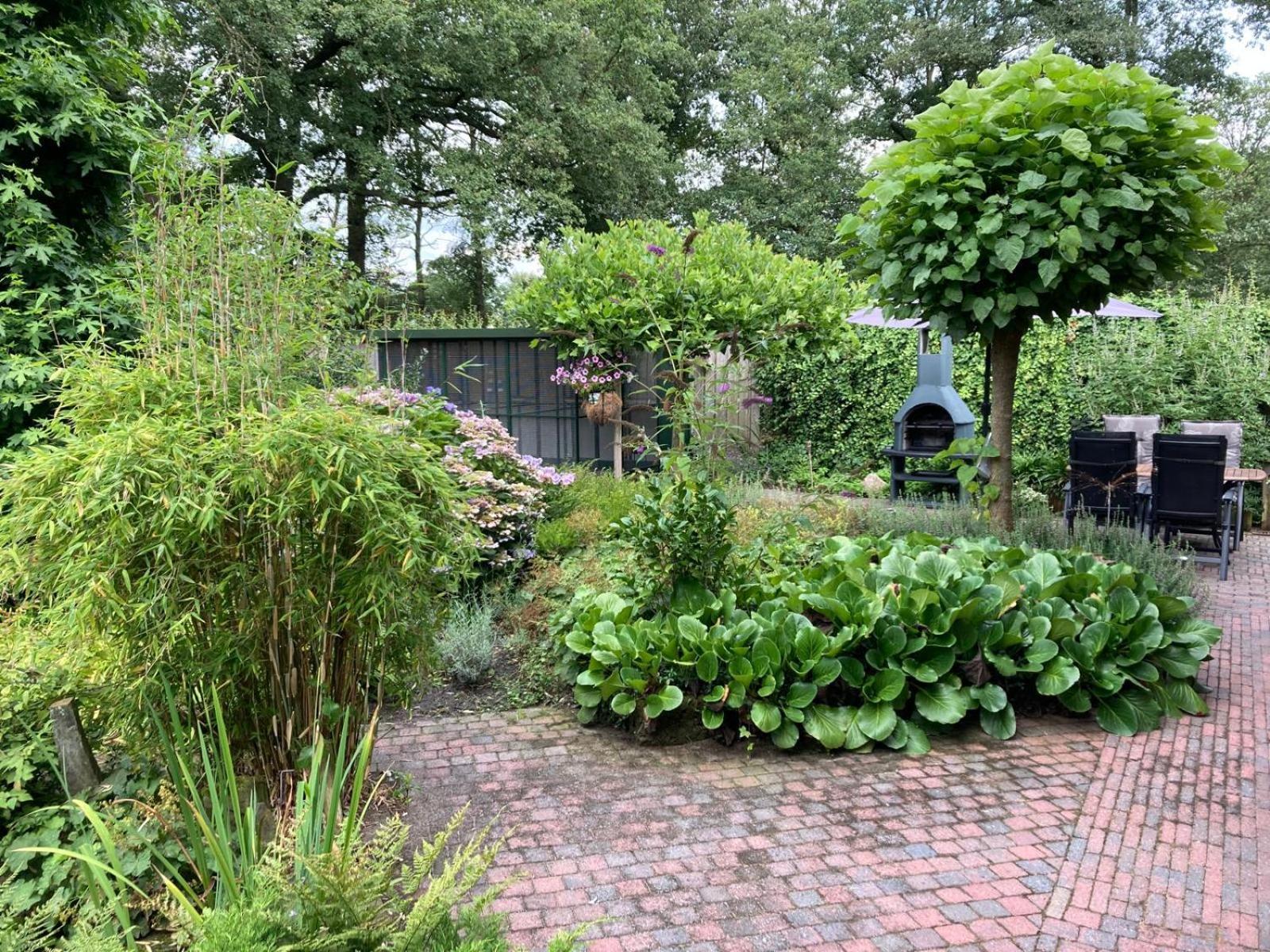 B&B Erve Moeskert Geesteren  Exteriér fotografie